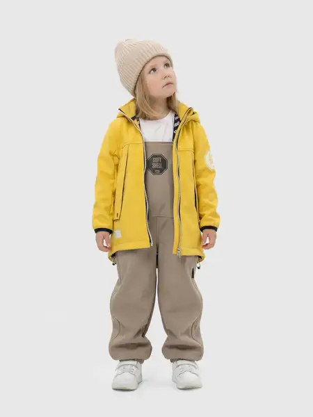 ВЕТРОВКА ВАЙС Softshell